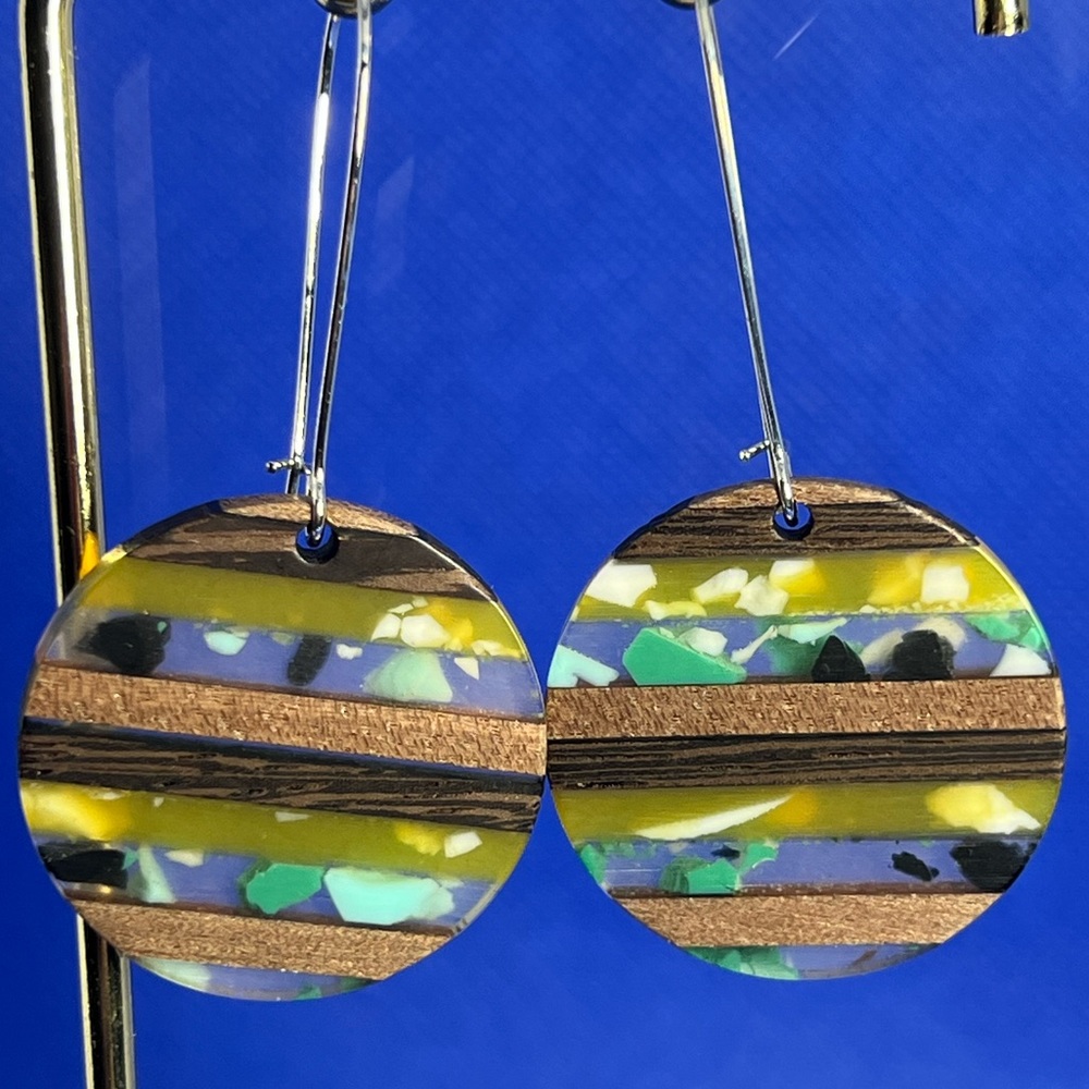 Multi Color Wood Tone Earrings